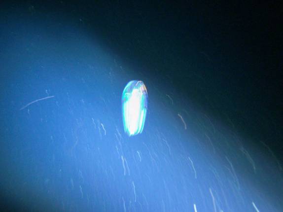 Mergulhando com seres luminescentes abissais, em Kona, na Big Island, no Havaí